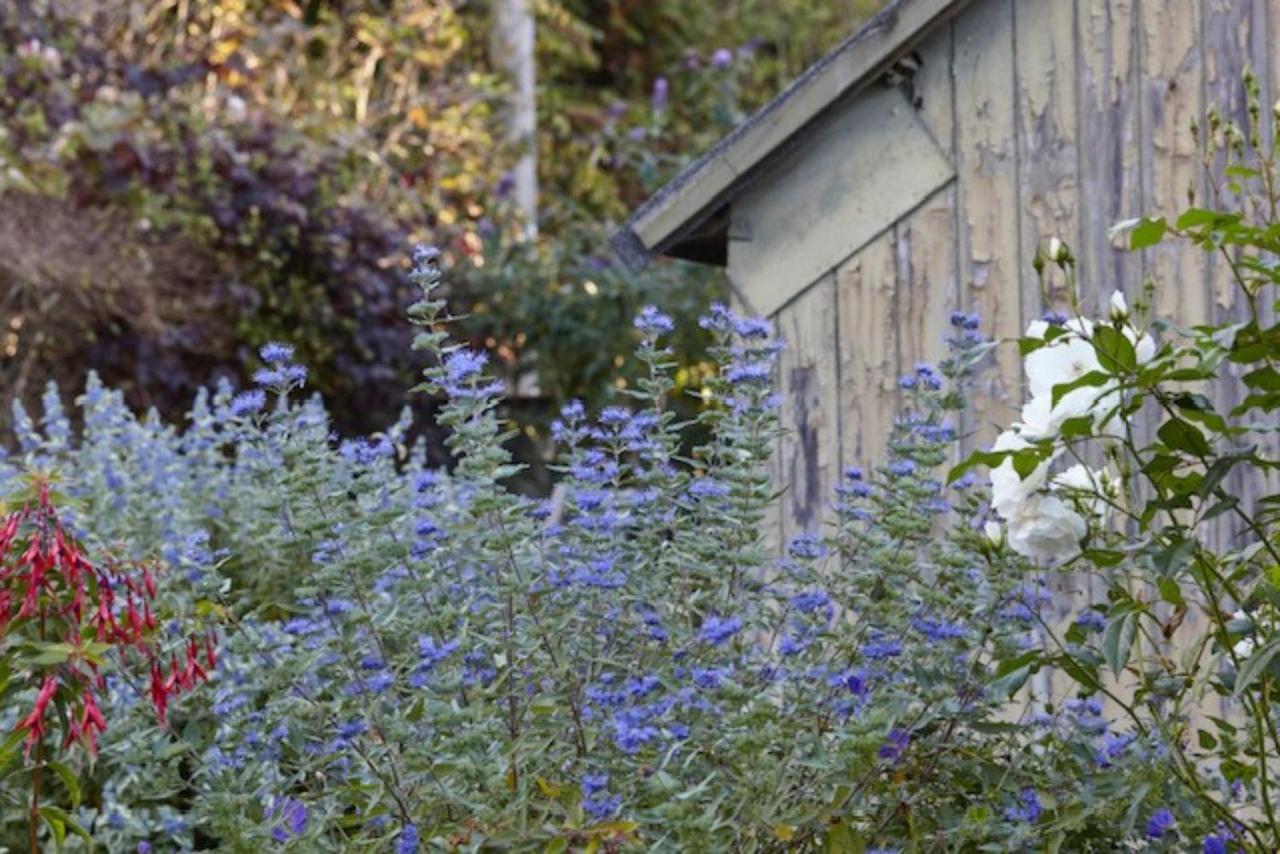 Lavender Cottage Beer Exteriör bild